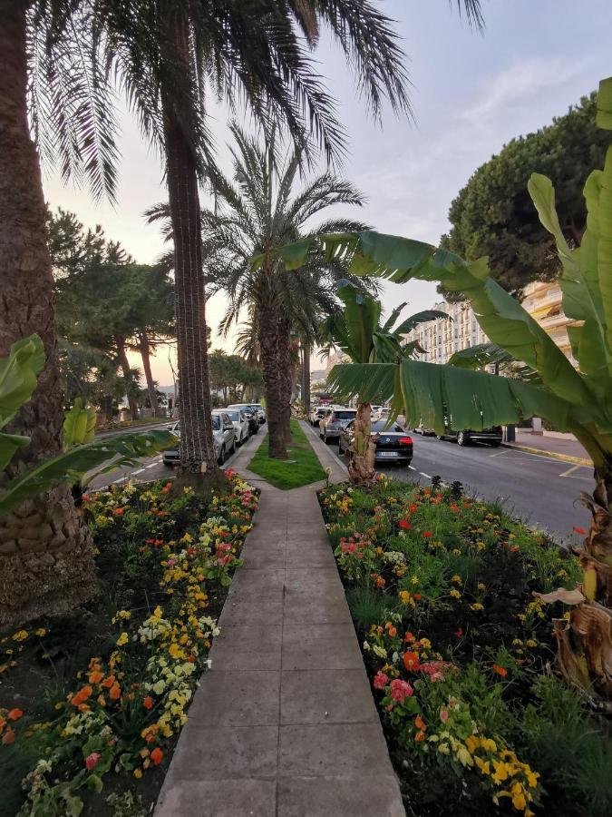 Le Chester Appartement 3 Pieces Cannes Proche Croisette Bord De Mer Exterior photo